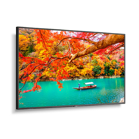 NEC MultiSync MA431 M Series - 43" LED-backlit LCD Display