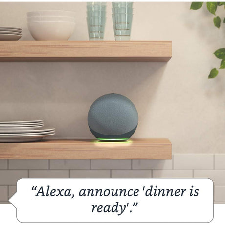 Amazon Echo Dot 4th Gen Smart Speaker - Charcoal - Pristine