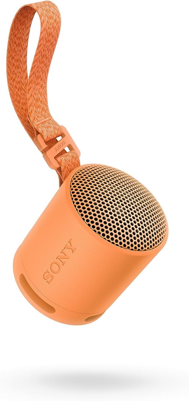 Sony SRS-XB100 Portable Bluetooth Speaker - Pristine