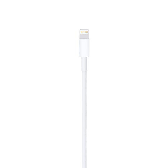 Apple Lightning to USB Cable 2M - New