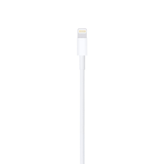 Apple Lightning to USB Cable 1M - New