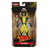 Hasbro Marvel Legends X-Men Series Wolverine Action Figure