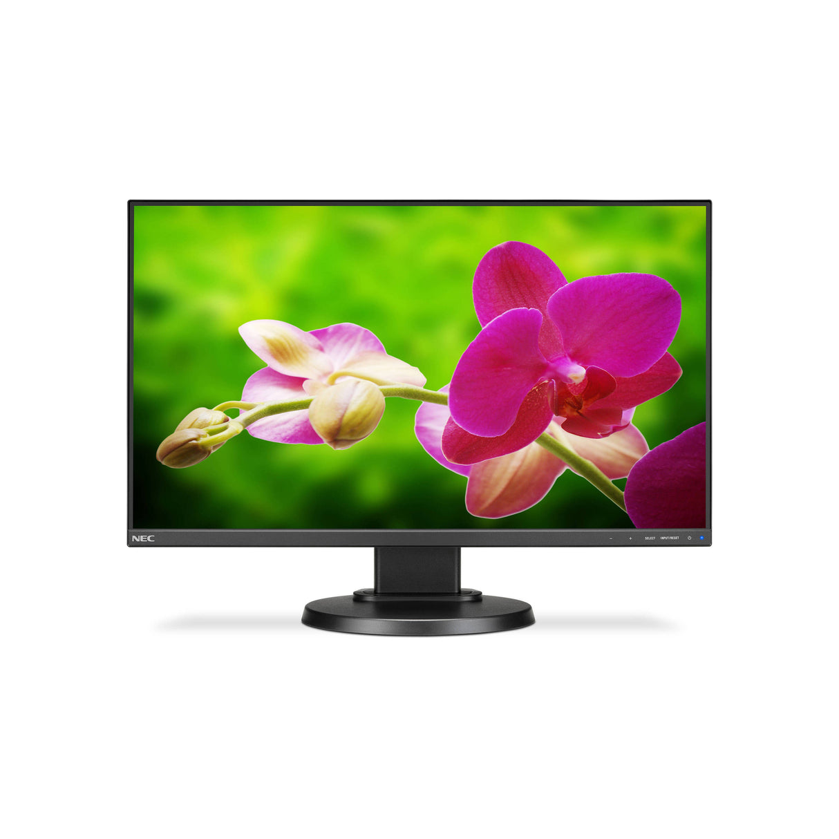 NEC E242N-BK 24" Narrow Bezel Desktop Monitor - Pristine