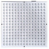 LED Grow Light For Hydroponic Indoor Plants