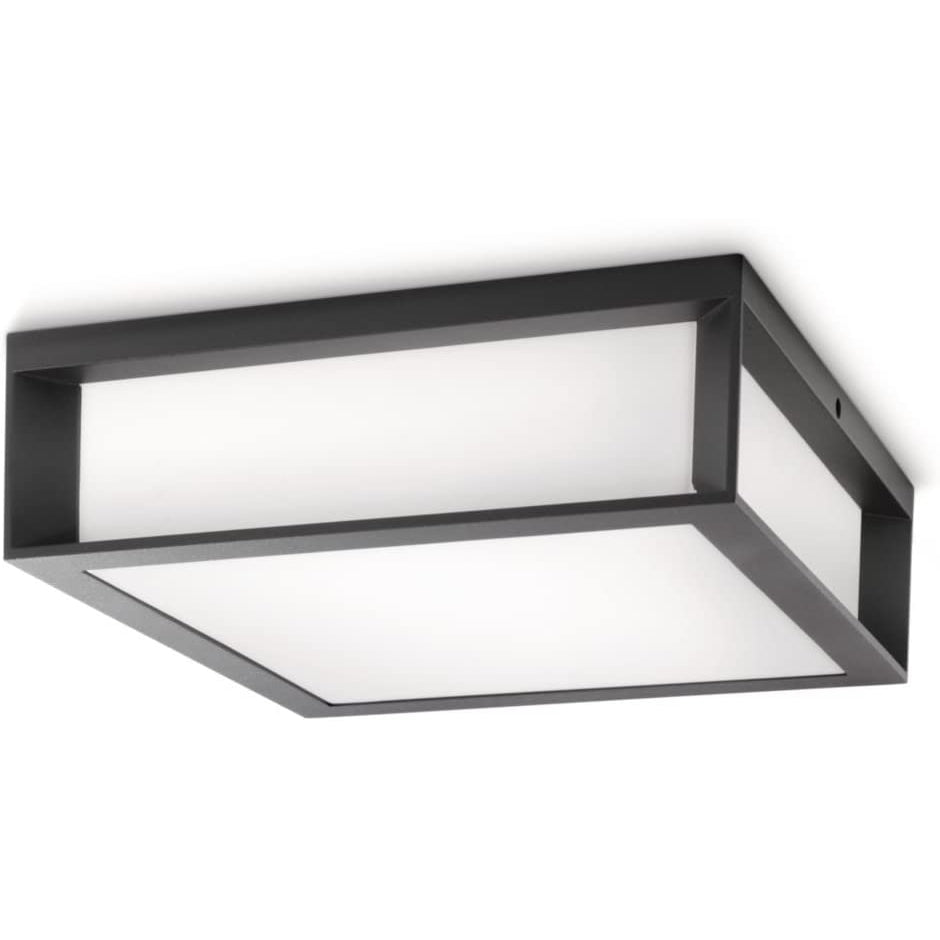 Philips Outdoor Wall And Ceiling Light - Skies Anthracite