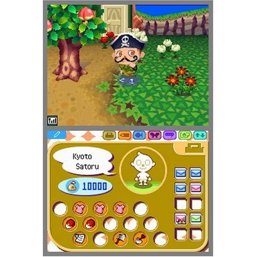 Animal Crossing: Wild World (Nintendo DS) – Stock Must Go
