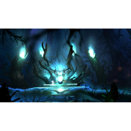 Ori & the Blind Forest Definitive Edition (PC Disc)