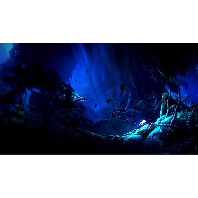 Ori and The Will of The Wisps (Nintendo Switch)