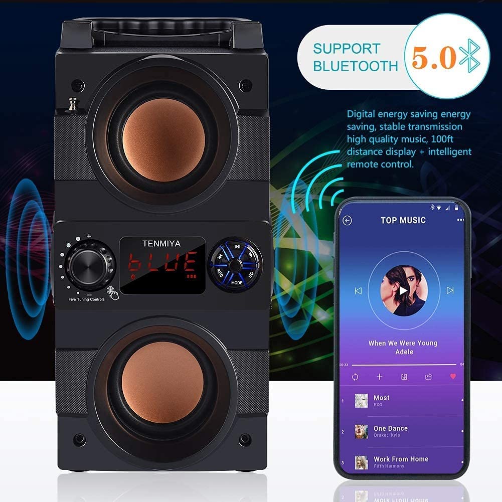 Tenmiya Rich Bass Speakers Built-in 8000mah Battery with Double Subwoofer Outdoor Party Speakers Support FM Radio