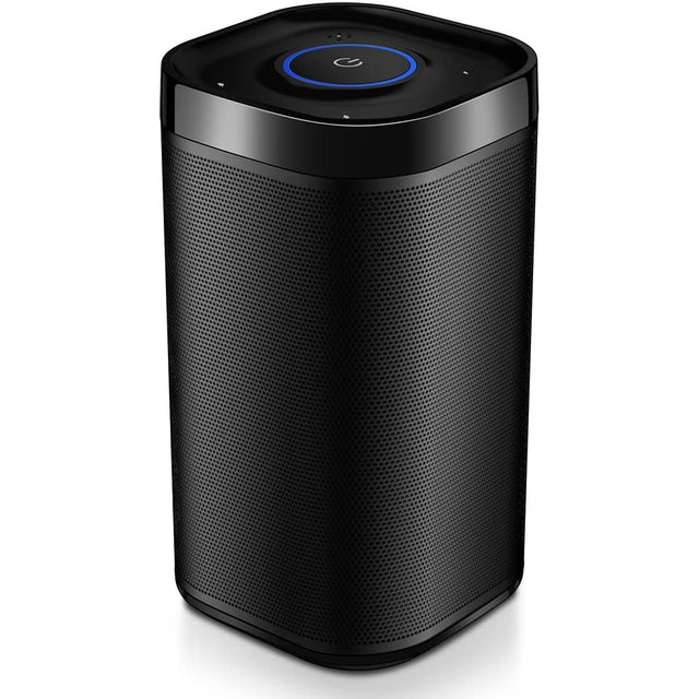 Dolcer DP300 Wireless Speaker - Black