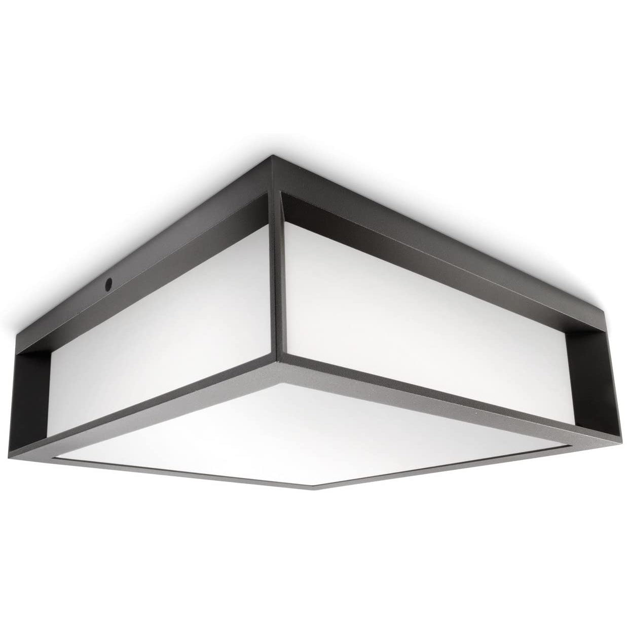 Philips Outdoor Wall And Ceiling Light - Skies Anthracite