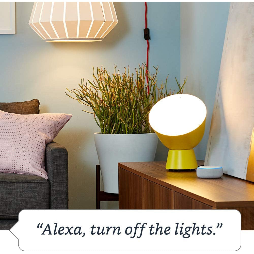 Amazon Smart Plug, works with Alexa, - B01NAXS22M