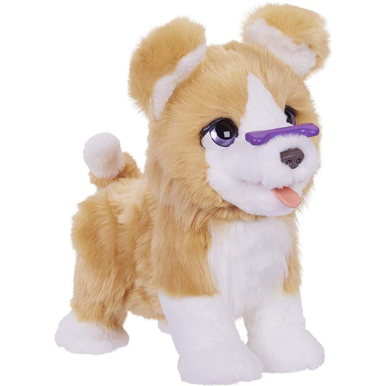 Furreal Dog Toy Furreal Friends Ricky Instructions Ricky The Trick