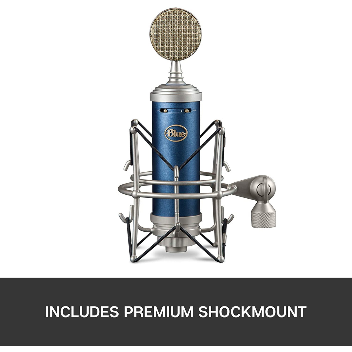 Blue Microphones Bluebird SL Large-Diaphragm Condenser Microphone