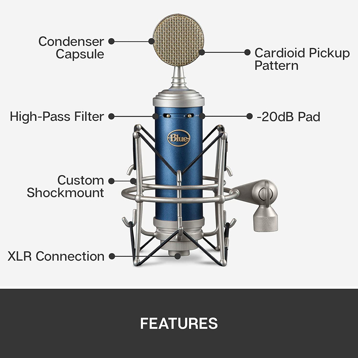 Blue Microphones Bluebird SL Large-Diaphragm Condenser Microphone