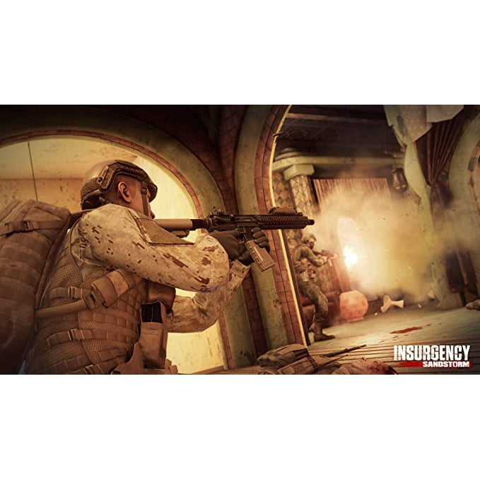 Insurgency Sandstorm (PS4)