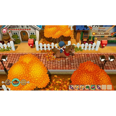 Story of Seasons: Friends Of Mineral Town (PS4)
