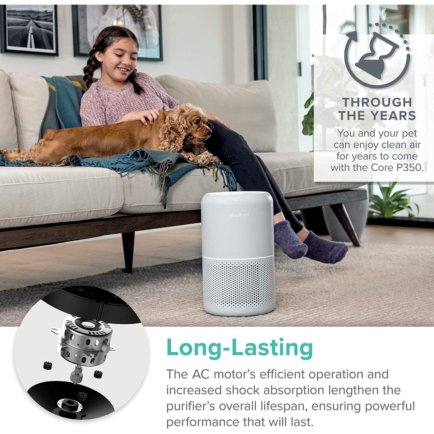 Levoit Air Purifiers for Home Allergies and Pet Hair, H13 True HEPA Air Filter, Grey