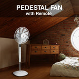 ANSIO Pedestal Fan