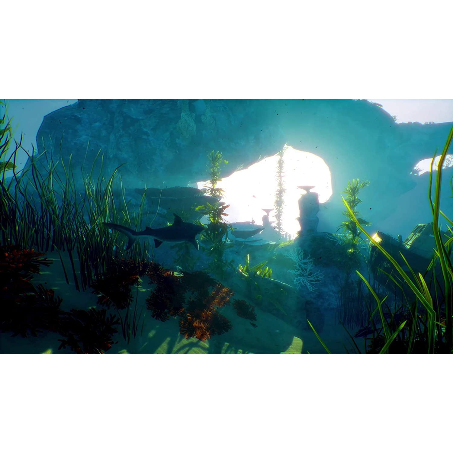 Maneater Day One Edition (Xbox One)