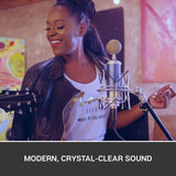 Blue Microphones Bluebird SL Large-Diaphragm Condenser Microphone