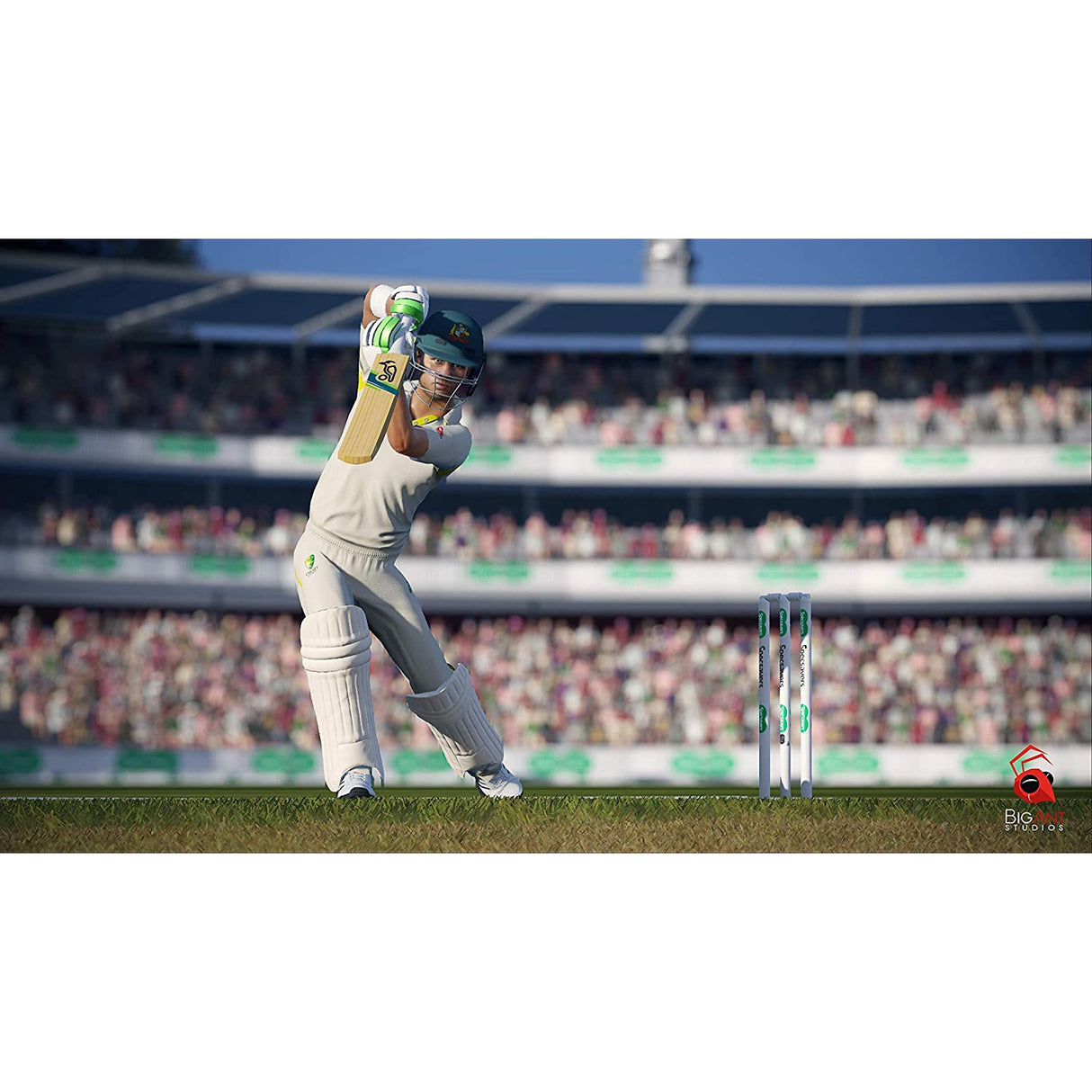 Cricket 19 (Nintendo Switch)