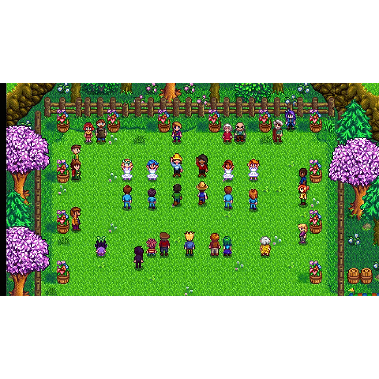 Stardew Valley (Nintendo Switch)