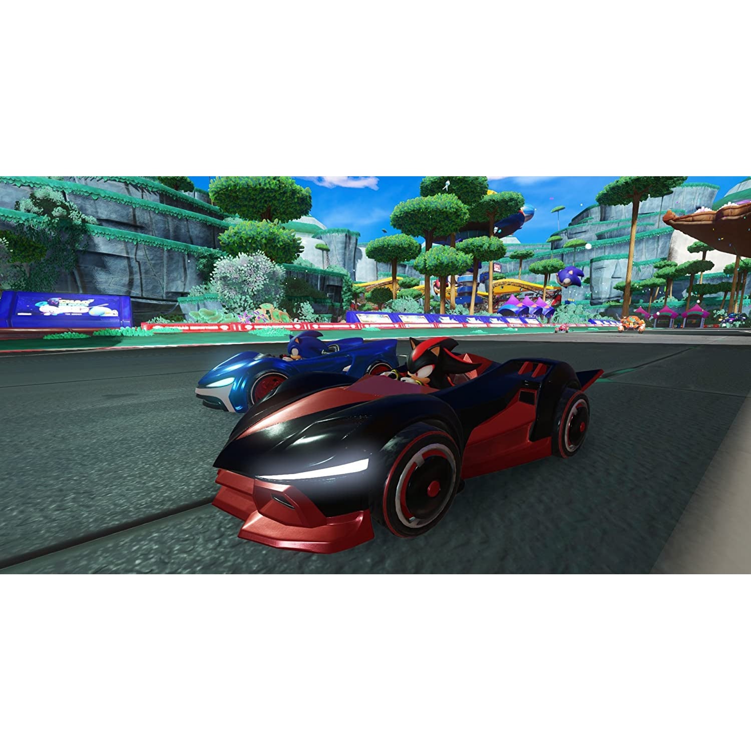 Team Sonic Racing Gift Pack (PS4)