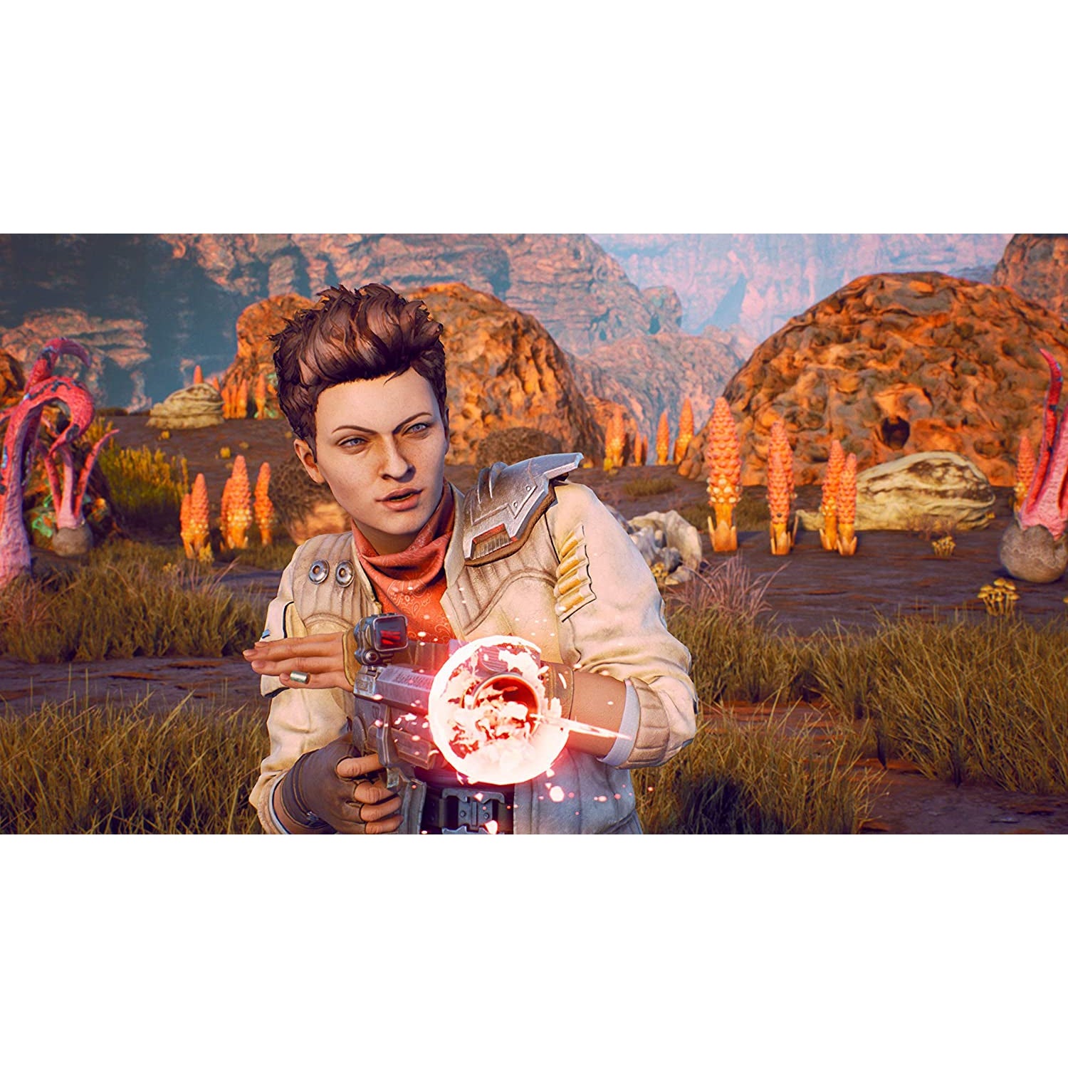 The Outer Worlds (PS4)