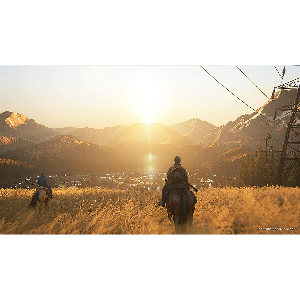The Last of Us Part II (PS4)