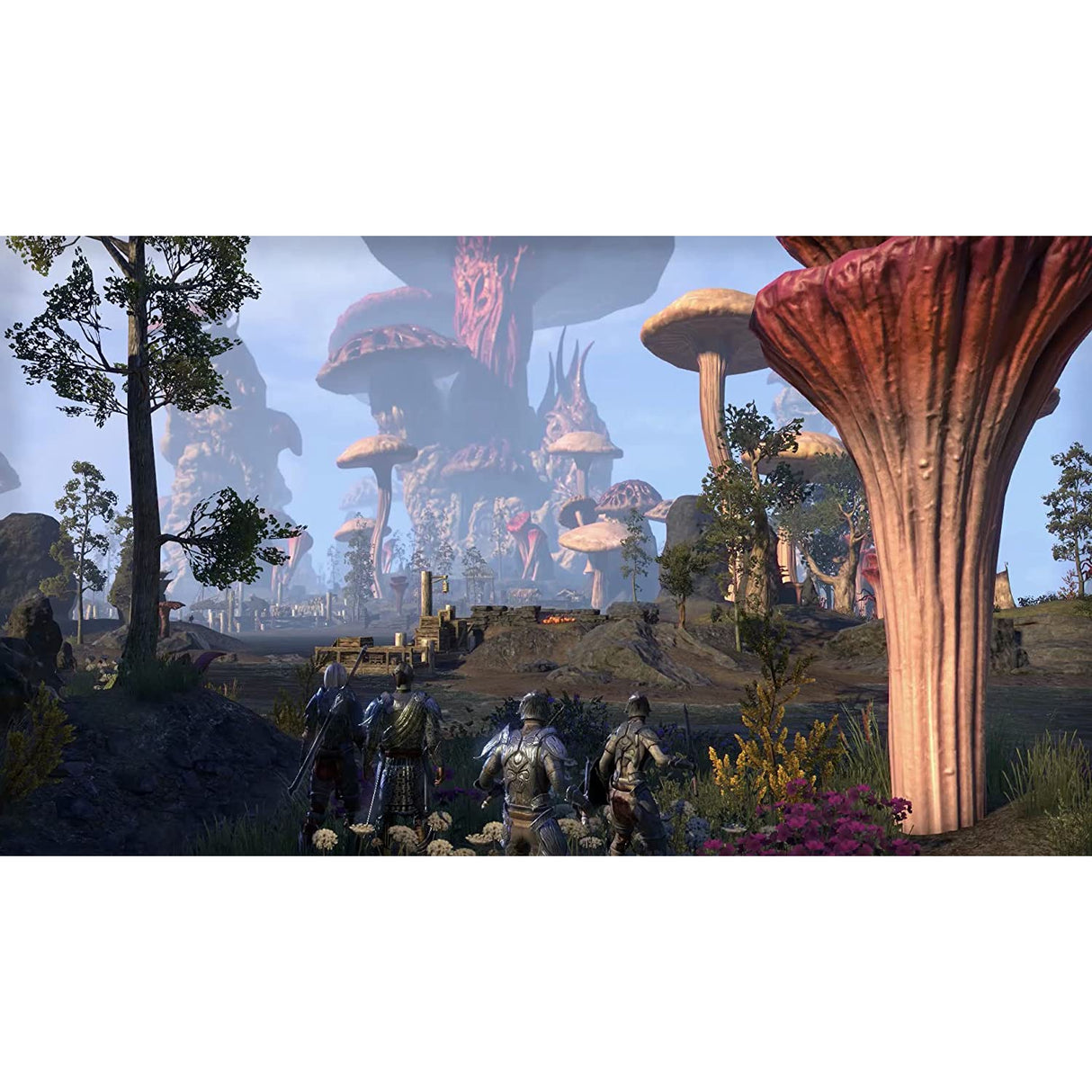 The Elder Scrolls Online And Morrowind (Xbox One)