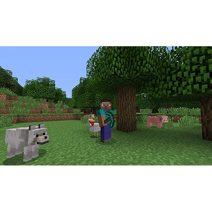 Minecraft (PS4)