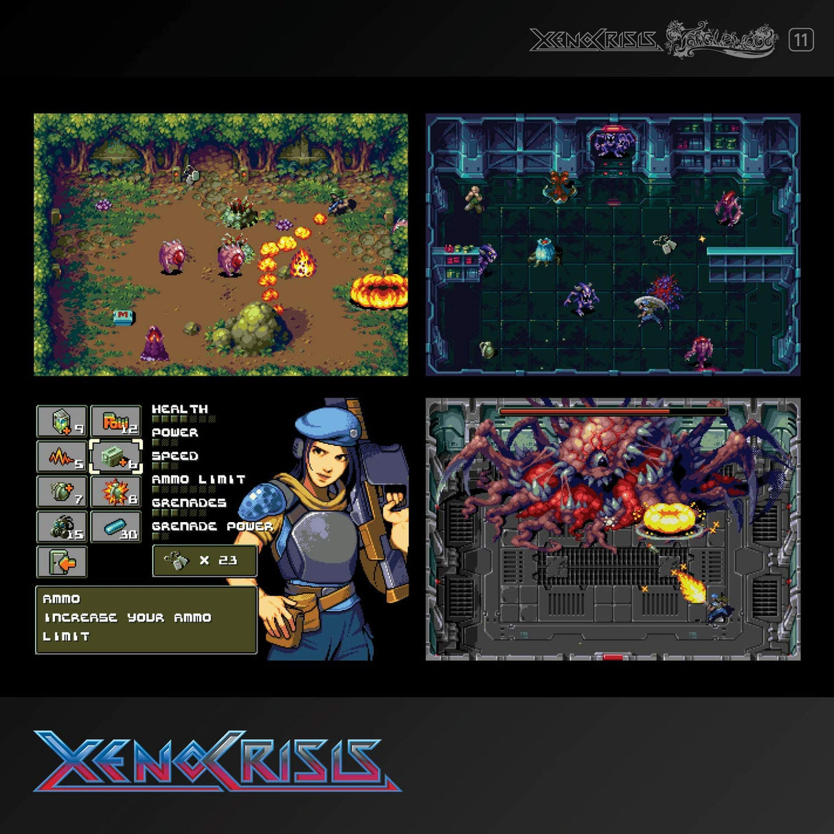 Evercade Xeno Crisis and Tanglewood