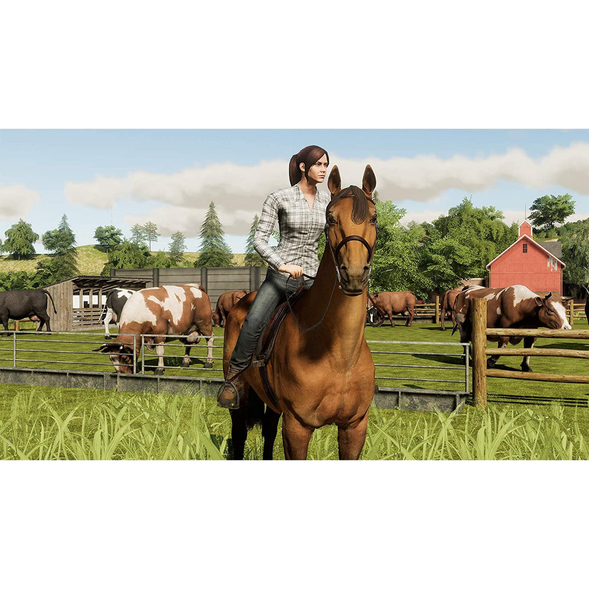 Farming Simulator 19: Premium Edition (PS4)
