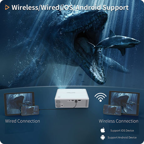 Wiselazer S20 Projector