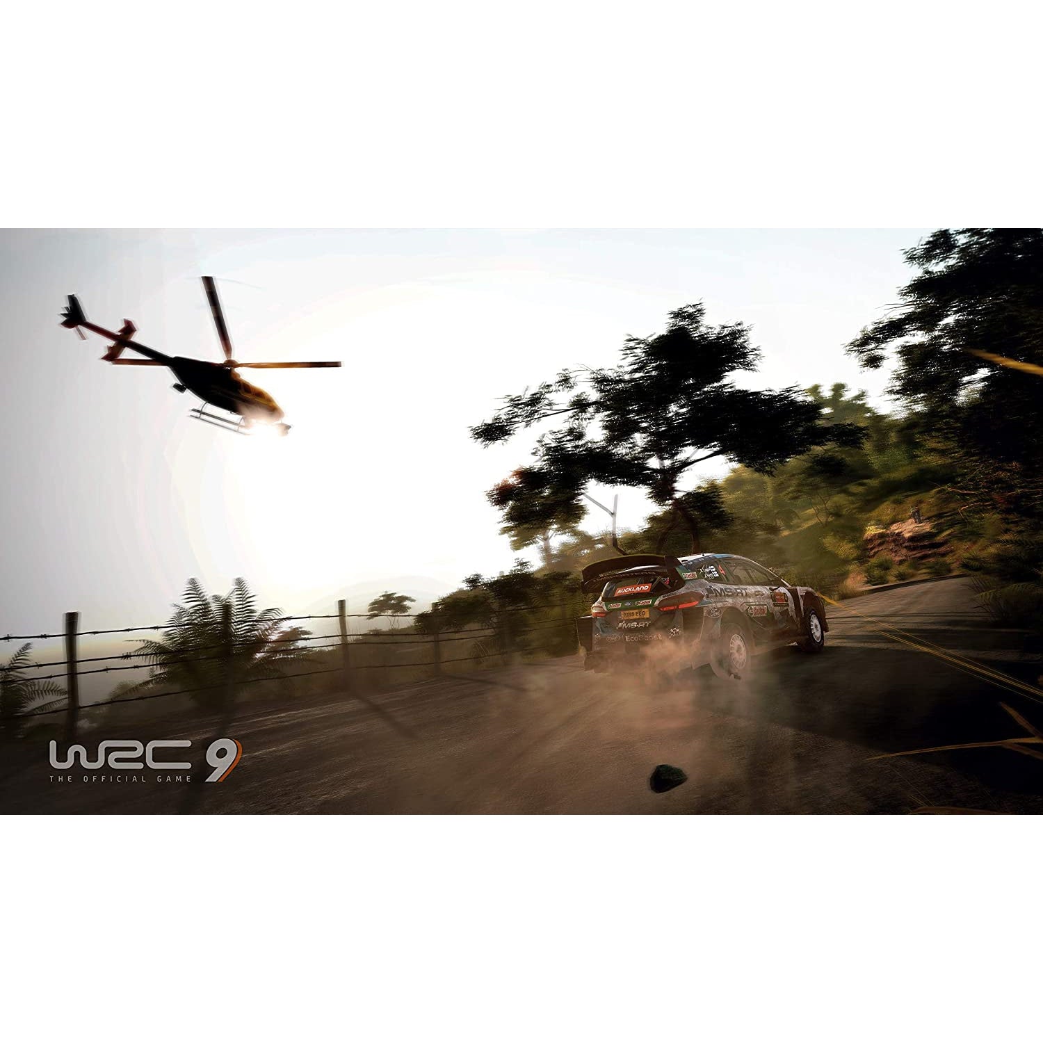 WRC 9 (Nintendo Switch)
