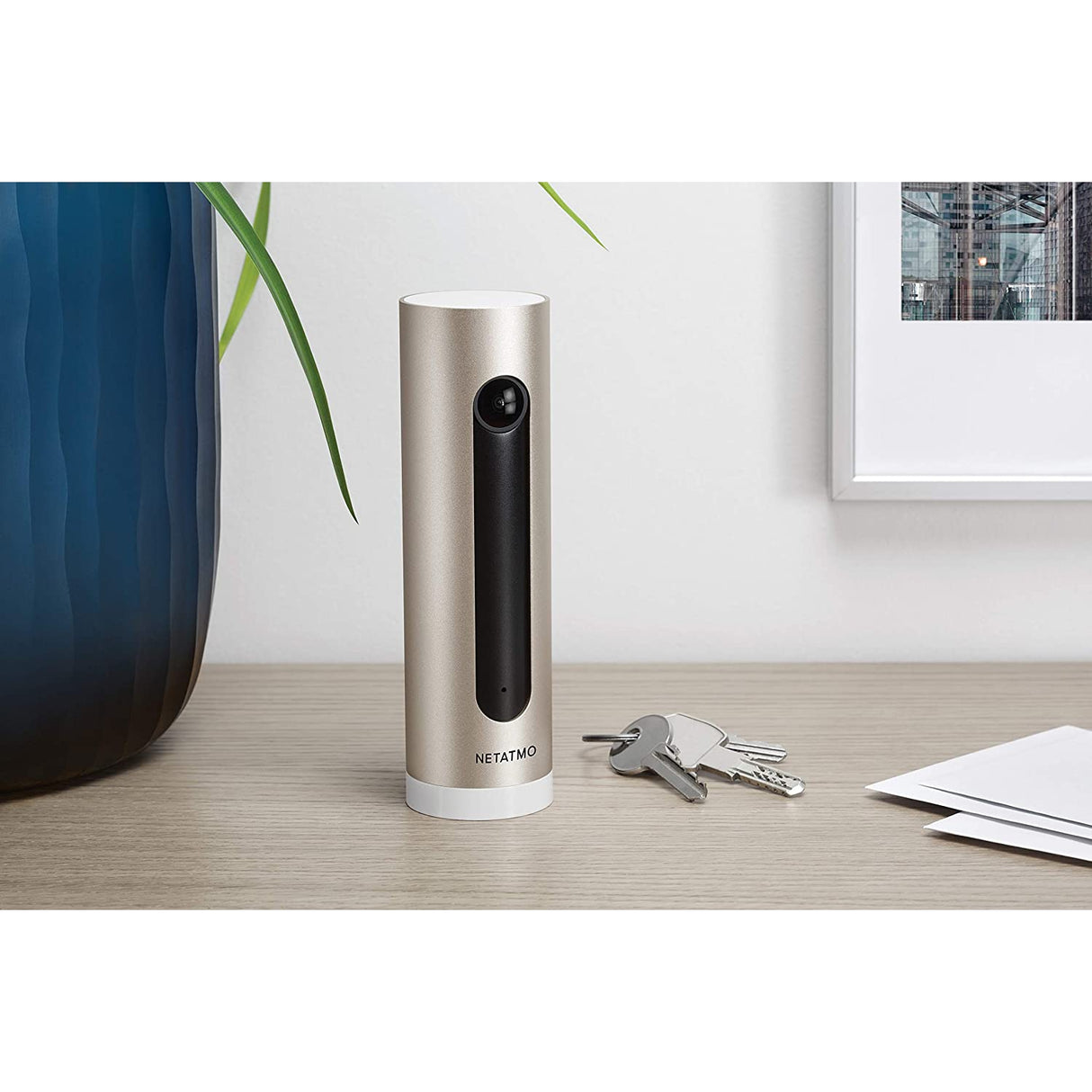 Netatmo Smart Indoor Security Camera, WIFI, Movement Detection, Night Vision, Without Fees, NSC01-UK