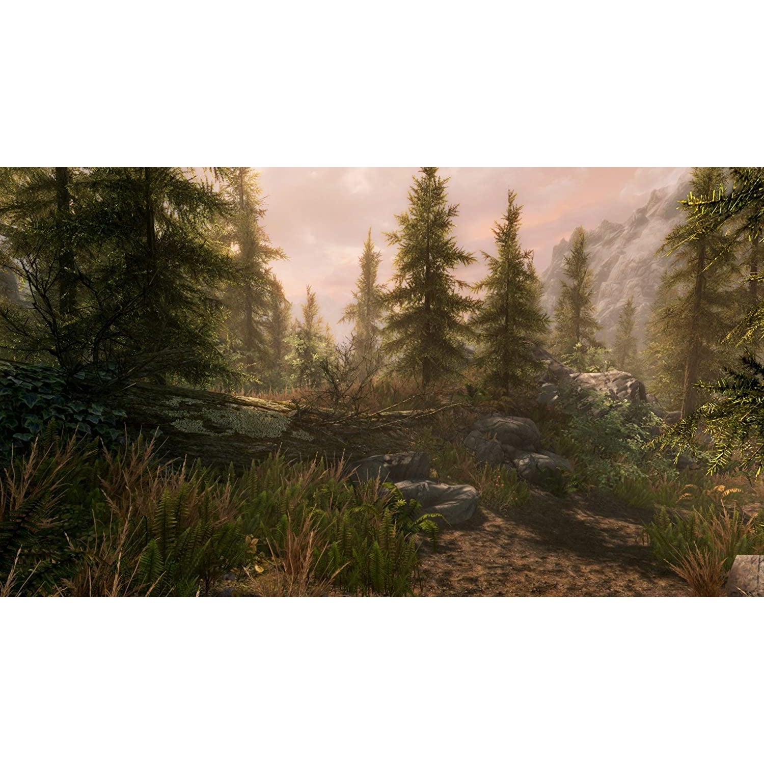 The Elder Scrolls V: Skyrim (Xbox One)