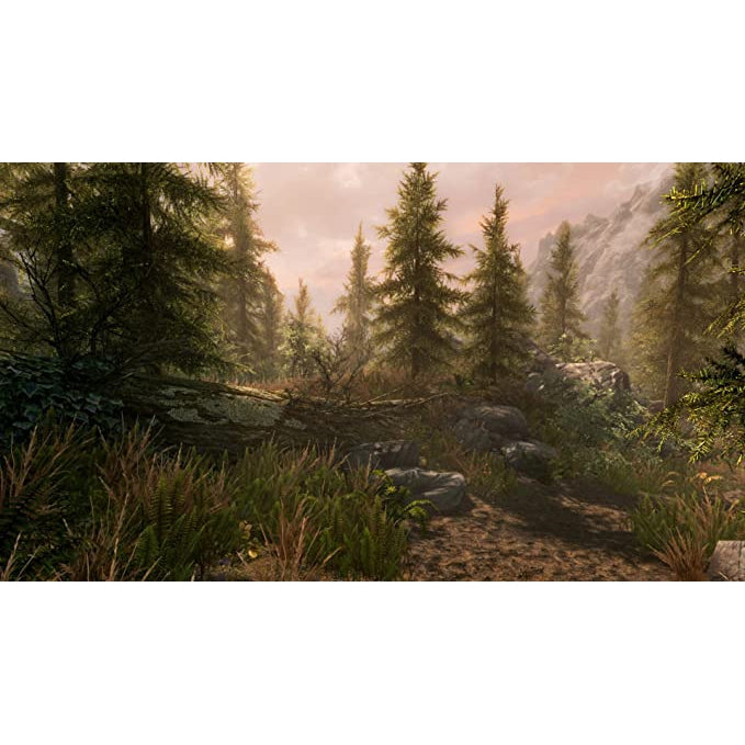 Elder Scrolls V: Skyrim Special Edition (Xbox One)