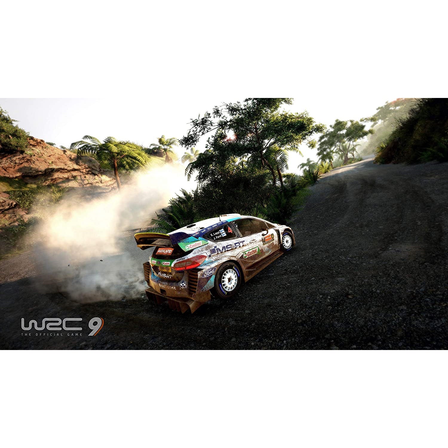 WRC 9 (Nintendo Switch)