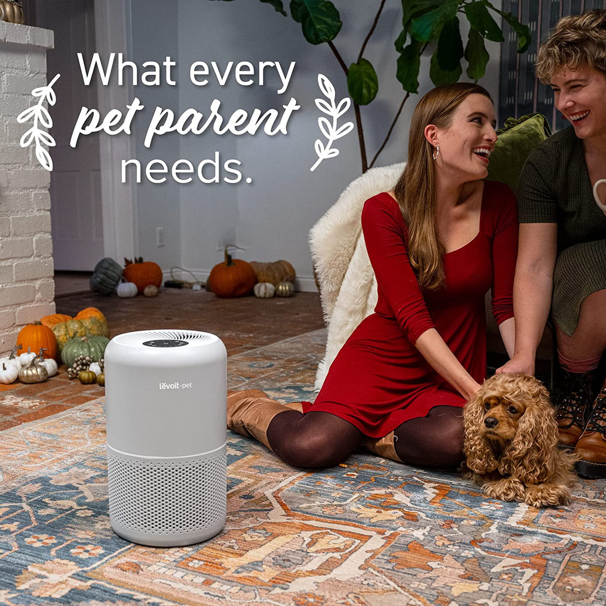 Levoit Air Purifiers for Home Allergies and Pet Hair, H13 True HEPA Air Filter, Grey