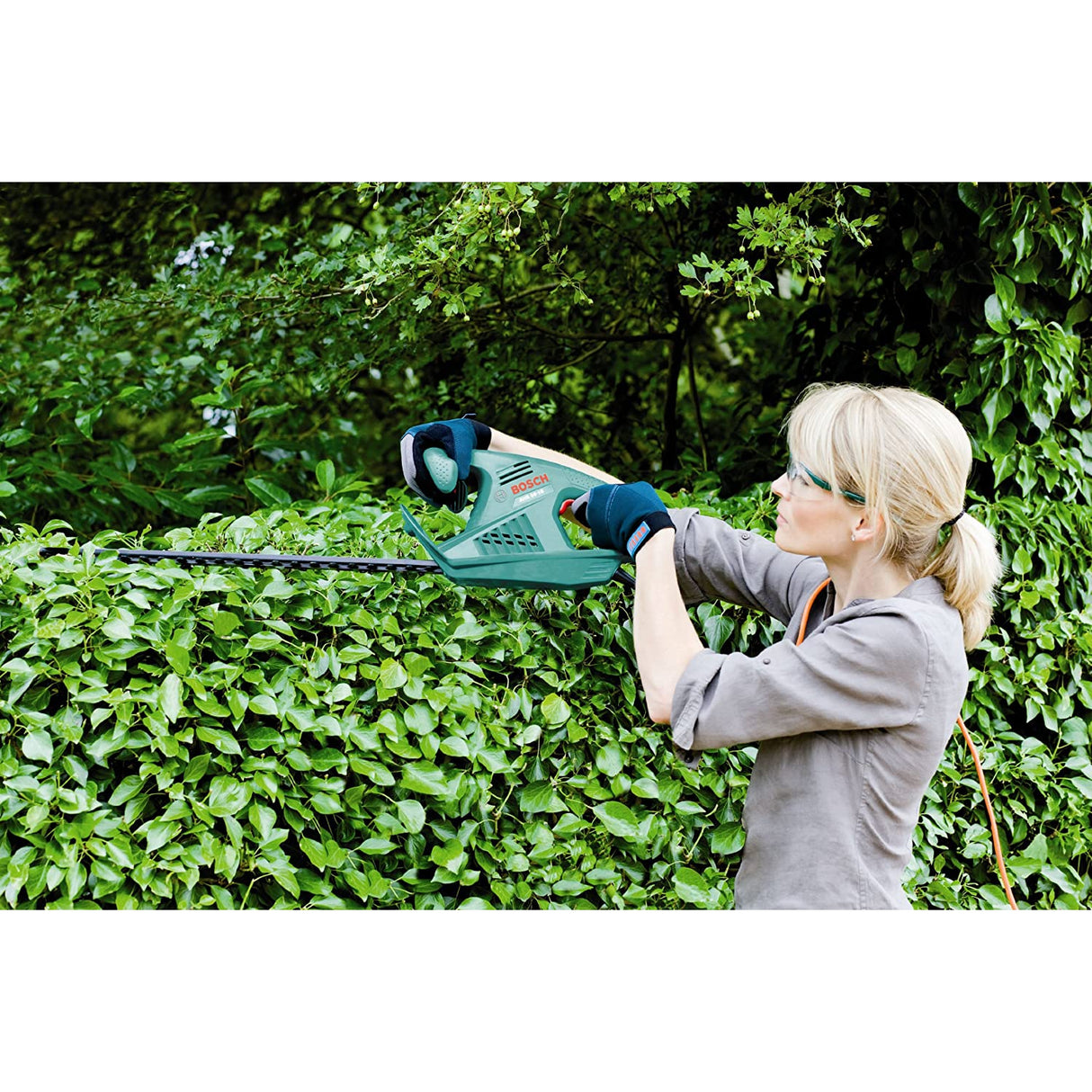 Bosch 0600847D70, AHS 60-16 Electric Hedge Cutter, 600 mm Blade Length, 16 mm Tooth Opening, Green