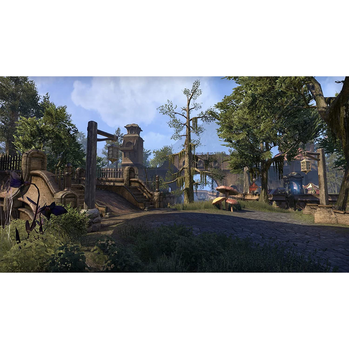 The Elder Scrolls Online And Morrowind (Xbox One)