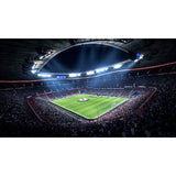 FIFA 19 (PS4)