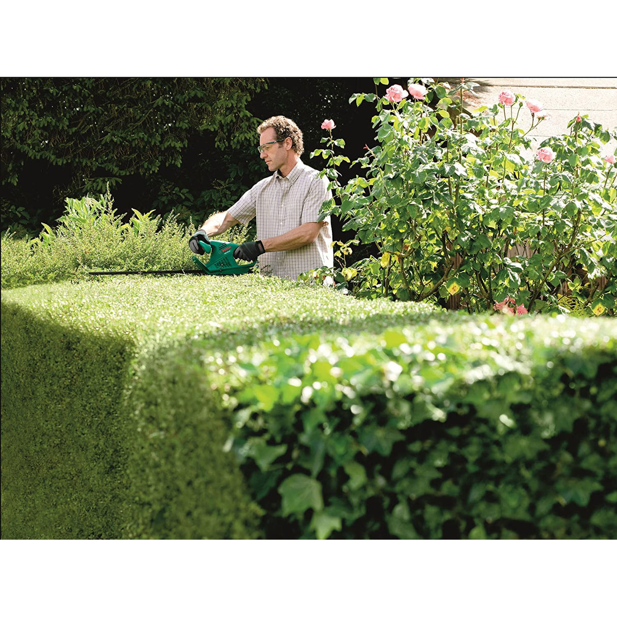 Bosch 0600847A70 AHS 45-16 Electric Hedge Cutter, 450 mm Blade Length, 16 mm Tooth Opening, Green