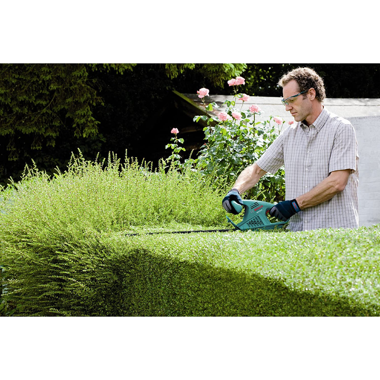 Bosch 0600847D70, AHS 60-16 Electric Hedge Cutter, 600 mm Blade Length, 16 mm Tooth Opening, Green