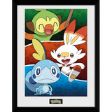 Pokémon Galar Starters Framed Poster