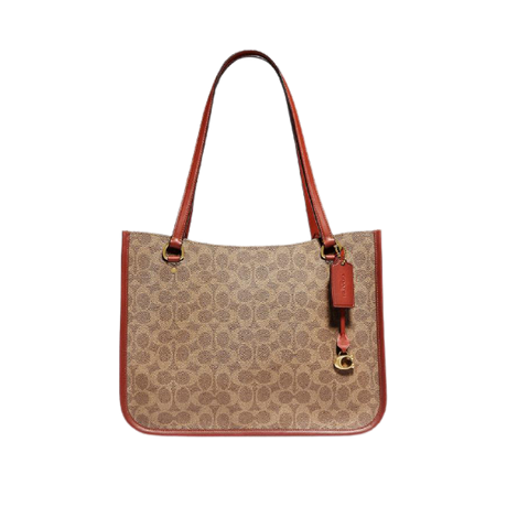 Tyler Carryall In Signature Canvas Brass/Tan Rust