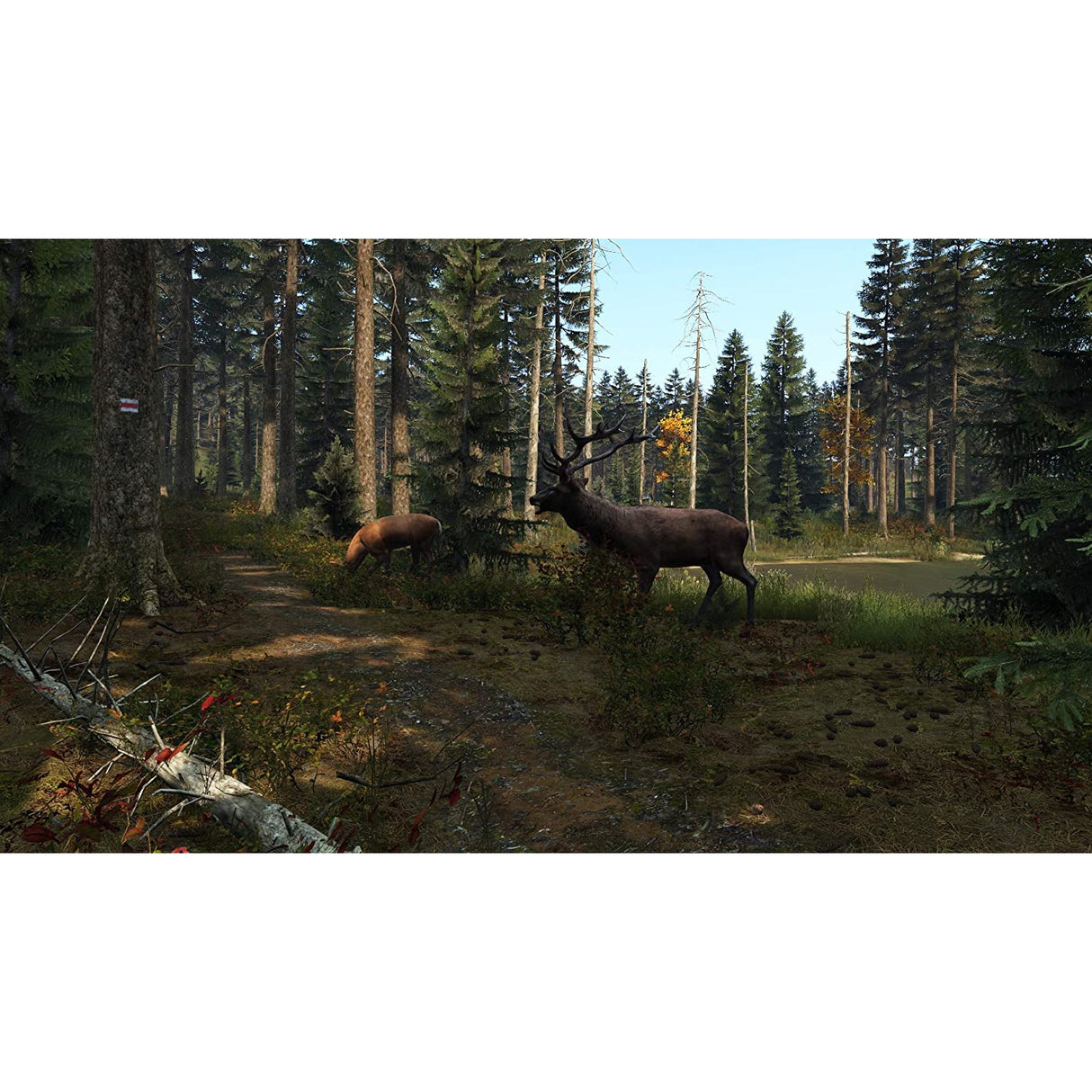Dayz (Xbox One)