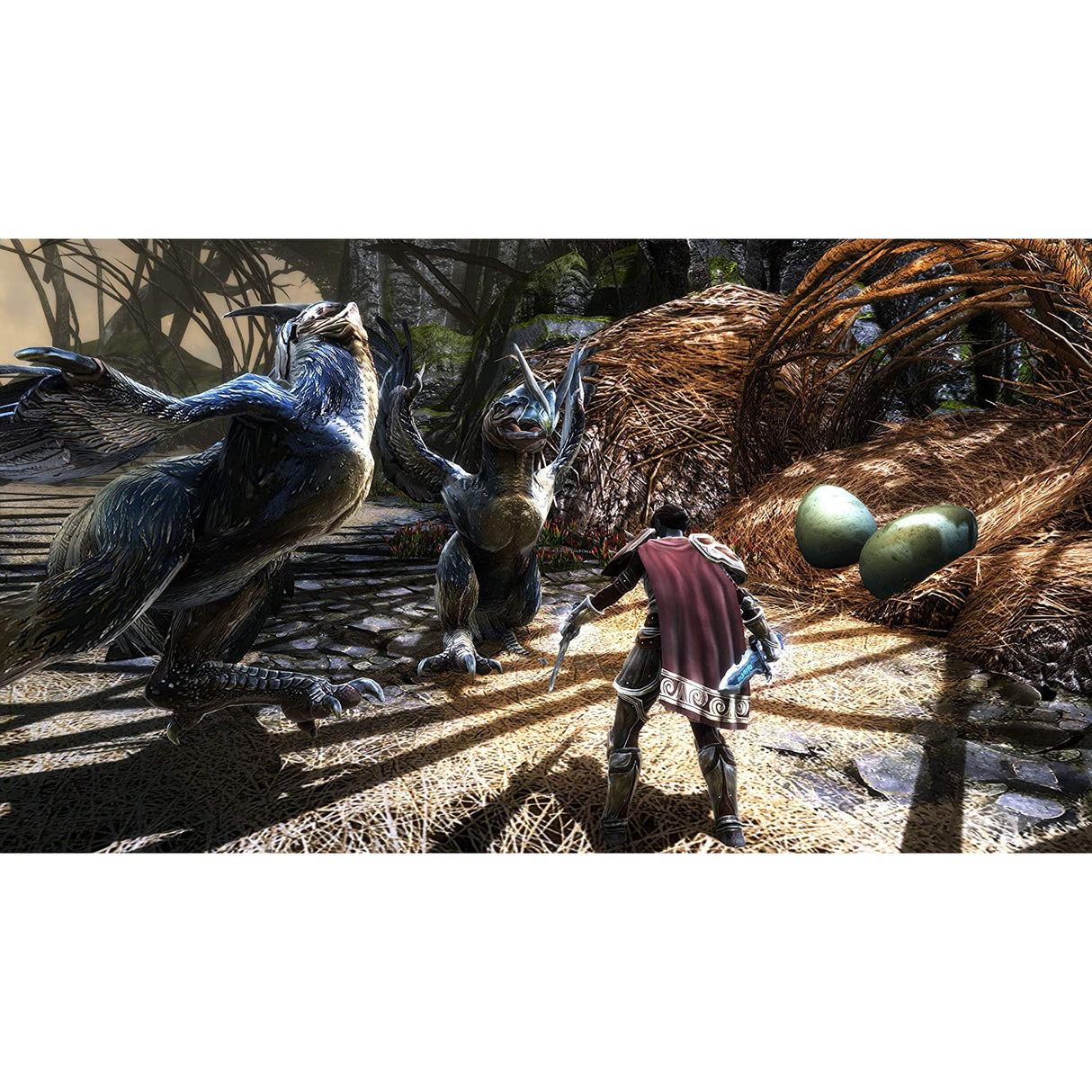 Kingdoms of Amalur: Re-Reckoning (Xbox One)
